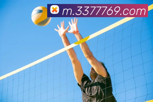 3377APP 封面图